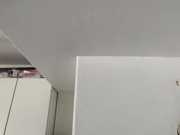 Innovative Techniques and Eco-friendly Solutions's image
